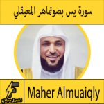 تحميل سورة يس mp3 بصوت الشيخ ماهر المعيقلي كاملة مجانا بجودة عالية