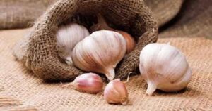 فوائد الثوم الصحية للجسم المناعة علاج الشعر البشرة