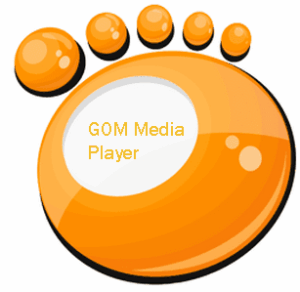 تحميل برنامج جوم بلاير DOWNLOAD GOM PLAYER