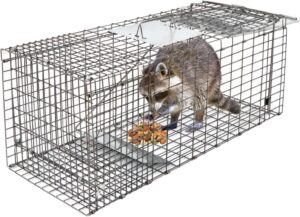 تحميل لعبة صيد الحيوانات المفترسة برابط واحد