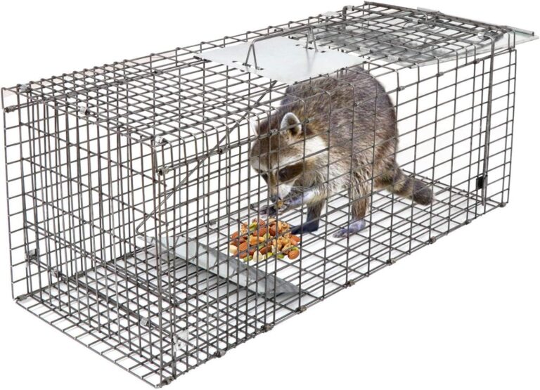 تحميل لعبة صيد الحيوانات المفترسة برابط واحد