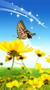 خلفيات جوال نوكيا 5530 صور HD عالية الدقة تنزيل مباشر