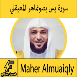 تحميل سورة يس mp3 بصوت الشيخ ماهر المعيقلي كاملة مجانا بجودة عالية