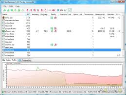 تحميل برنامج مراقبة الانترنت مجانا NetBalancer Pro